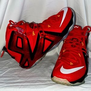 Nike Lebron’s XII Elite 2014’s Size 10.5